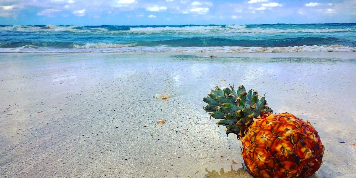 Pina en la Playa